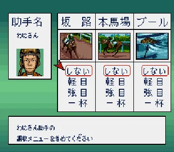 Thoroughbred Breeder II (Japan) screen shot game playing